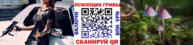 продажа наркотиков Щёлкино Галлюциногенные грибы мухоморы